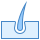 icons8-skin-filled-40.png